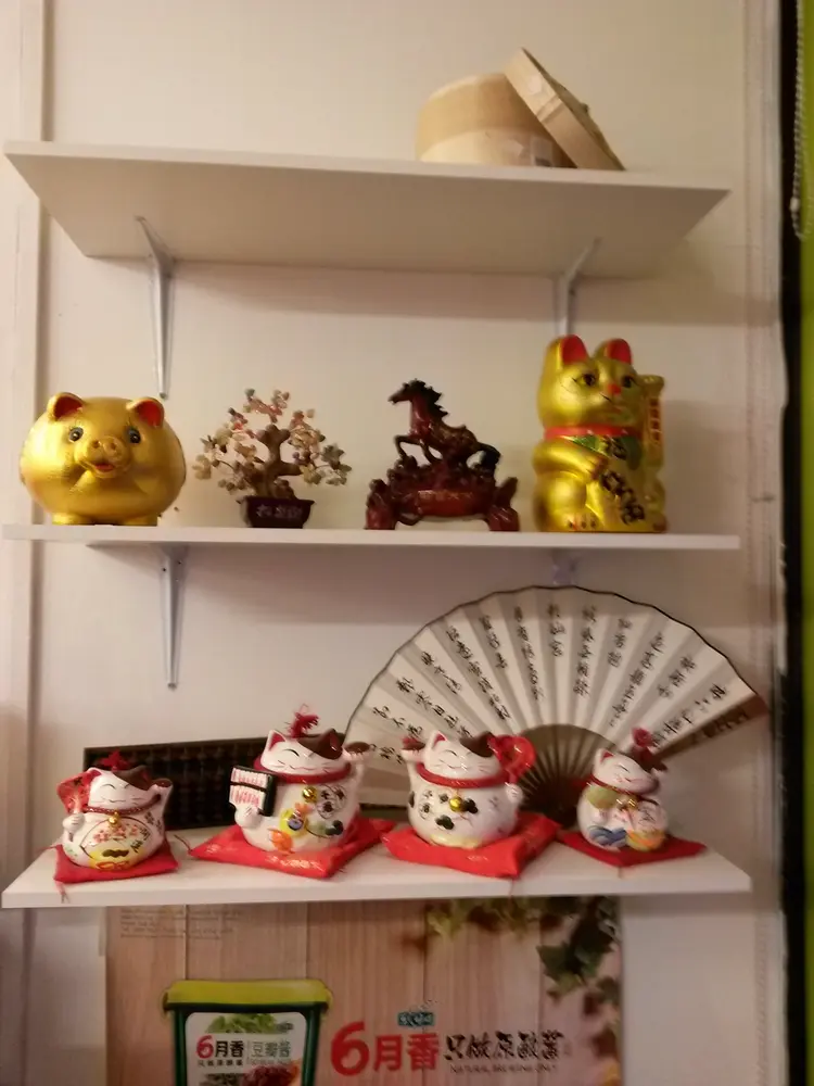 Shelf of gold and ceramic lucky cats, a money tree and a painted folding fan inside the shop